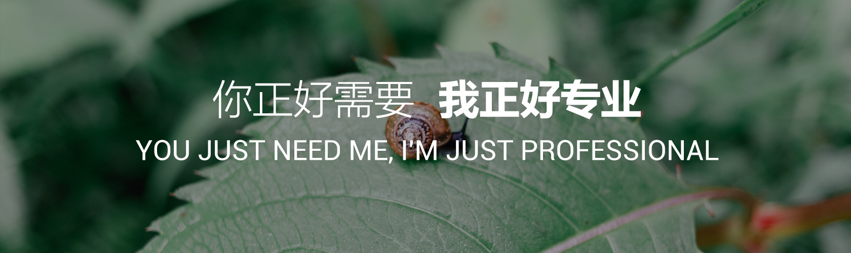 幻灯3